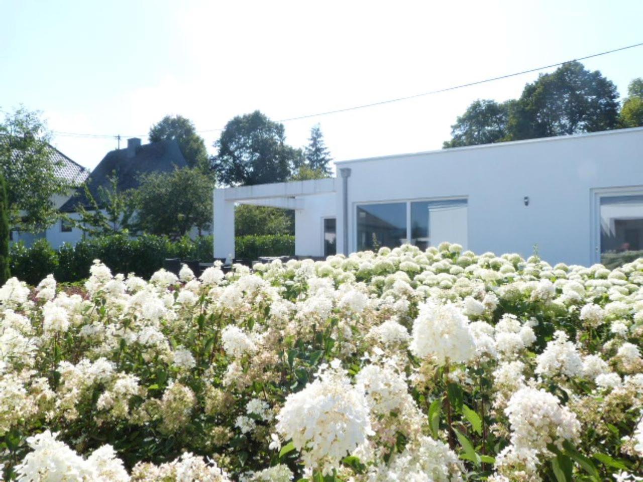 Villa Mosel Morbach Exterior foto